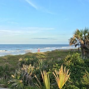 Meet your Posher, Abigail